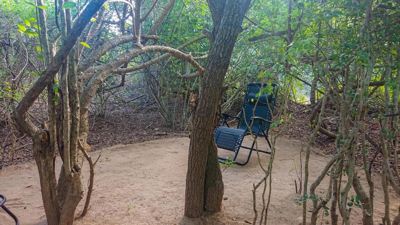 Hotel Yala Eco Bush Camp Extérieur photo