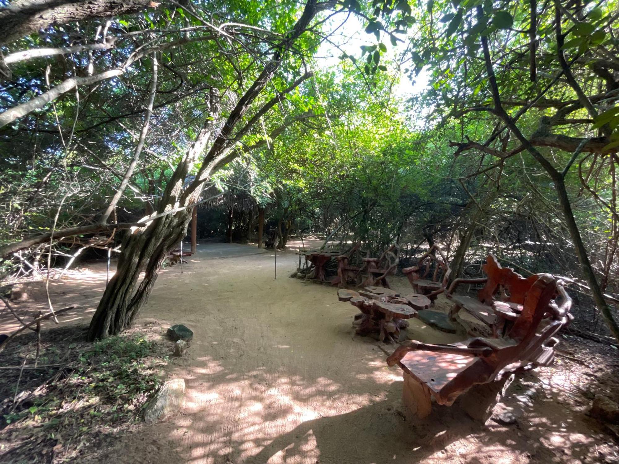 Hotel Yala Eco Bush Camp Extérieur photo