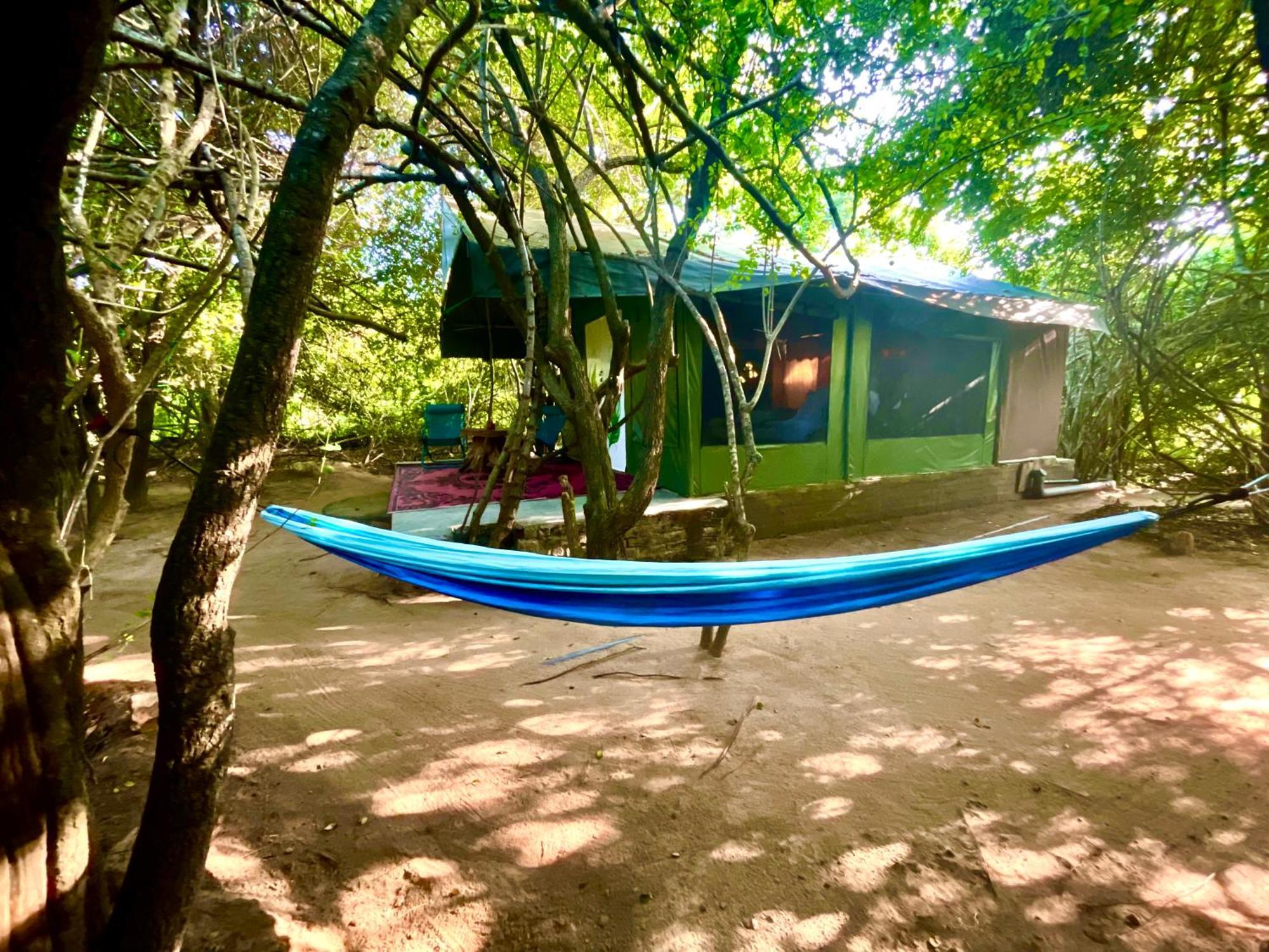Hotel Yala Eco Bush Camp Extérieur photo