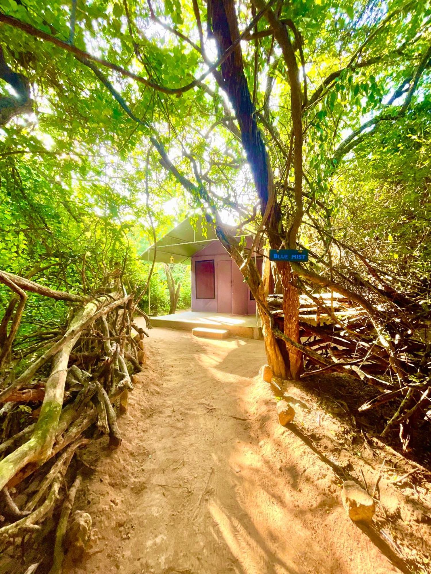 Hotel Yala Eco Bush Camp Extérieur photo
