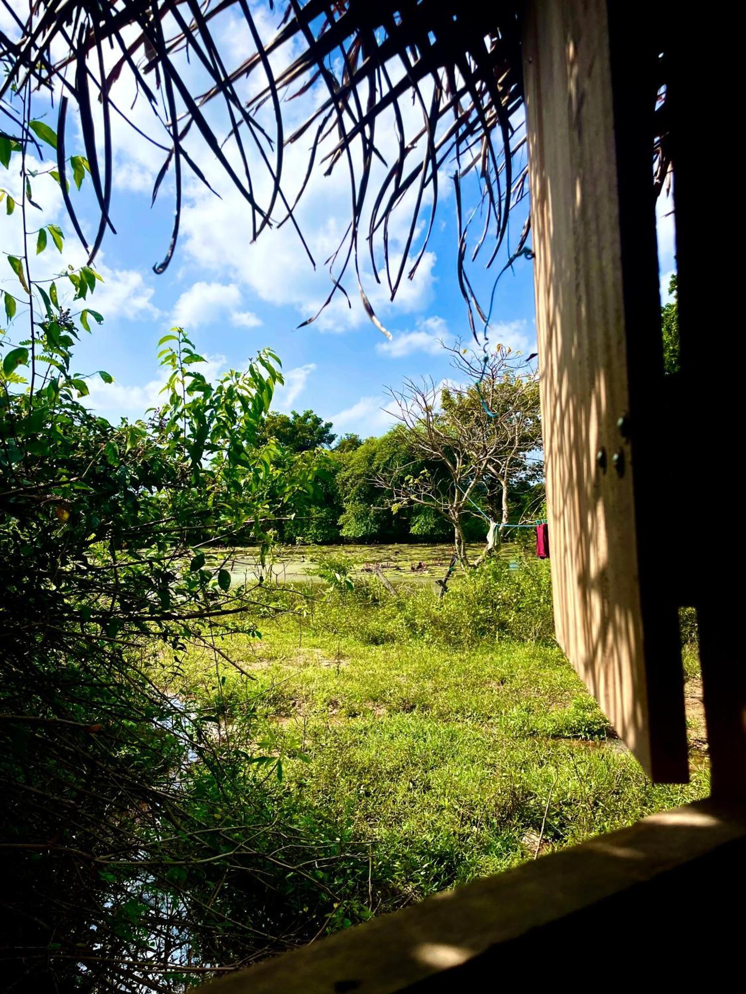 Hotel Yala Eco Bush Camp Extérieur photo