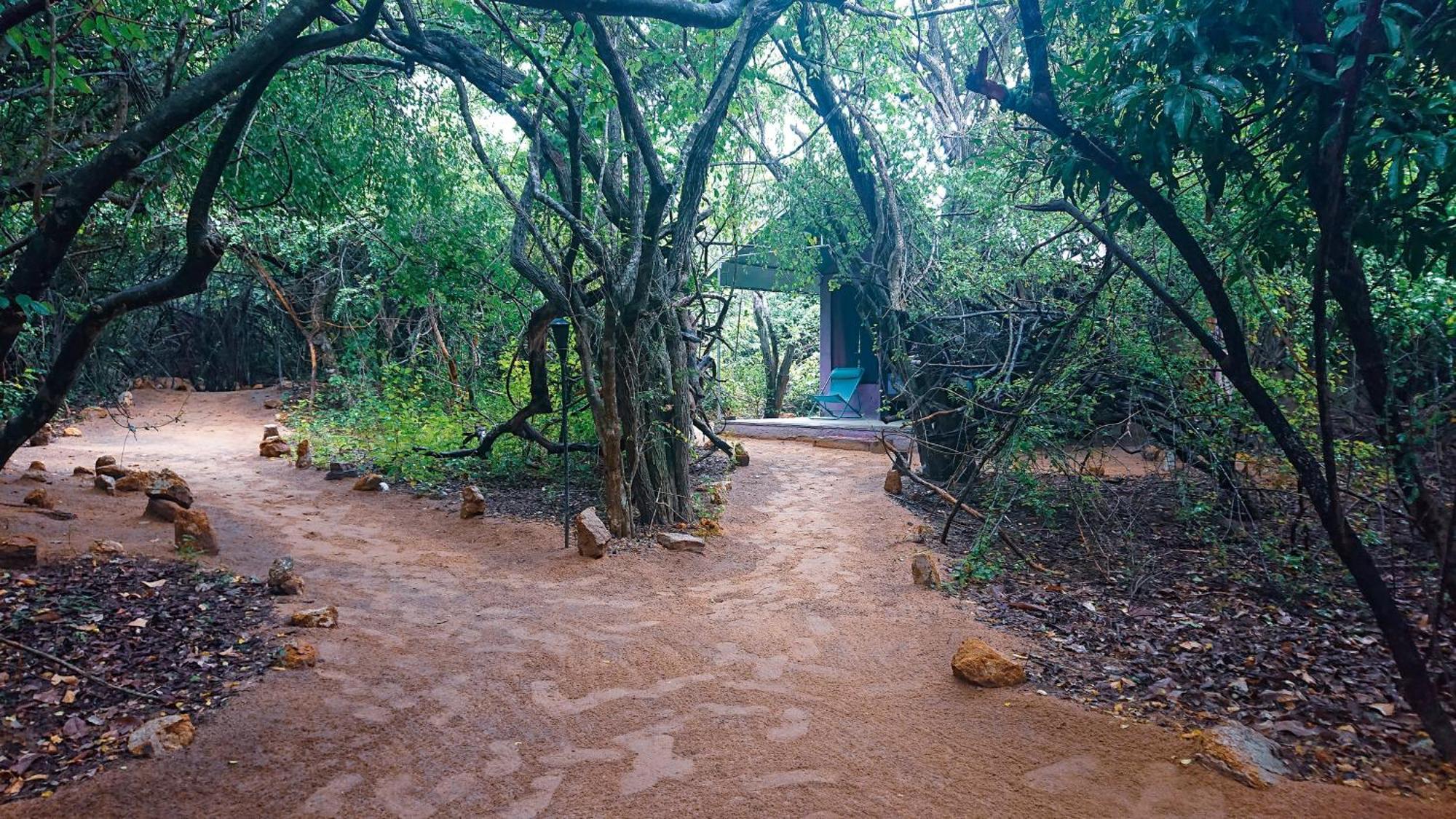 Hotel Yala Eco Bush Camp Extérieur photo