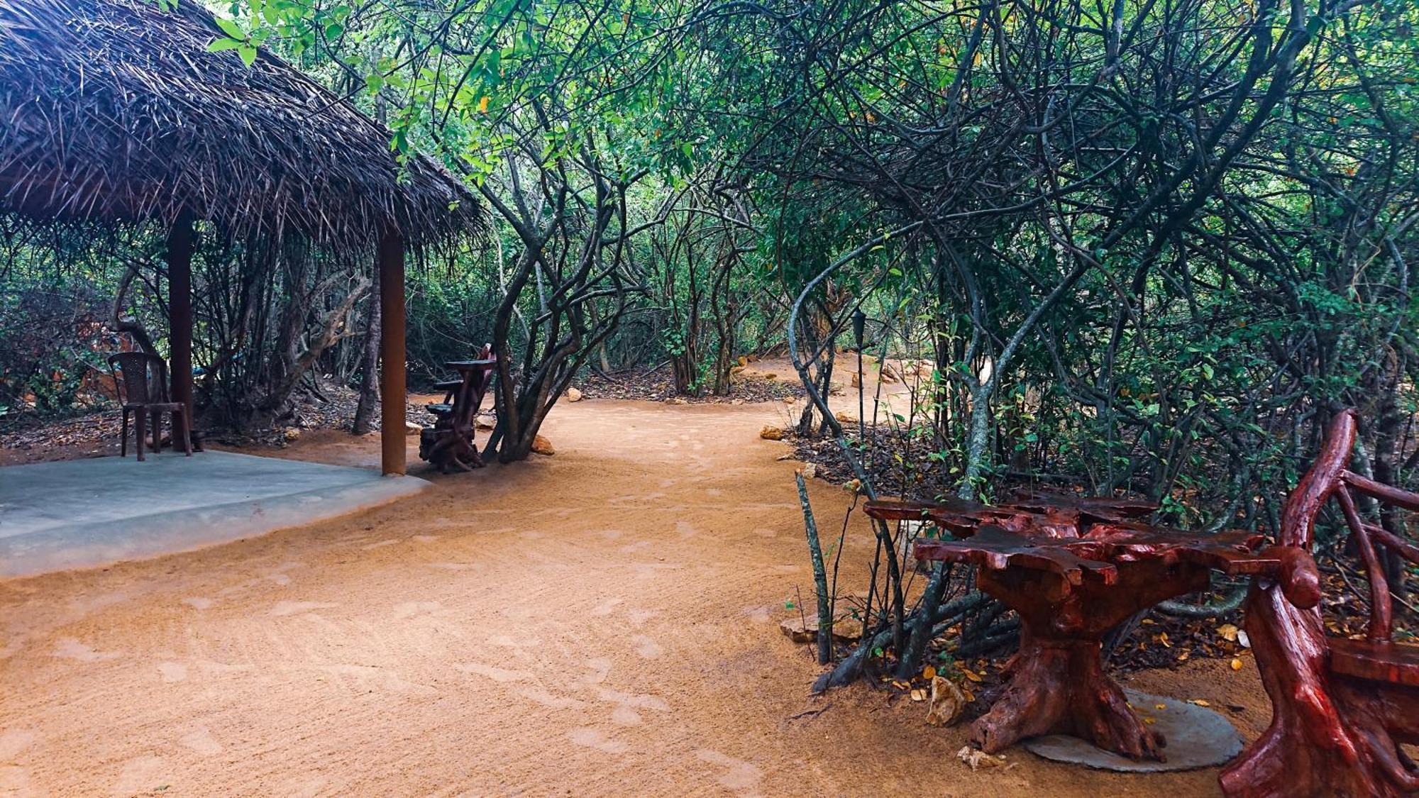 Hotel Yala Eco Bush Camp Extérieur photo