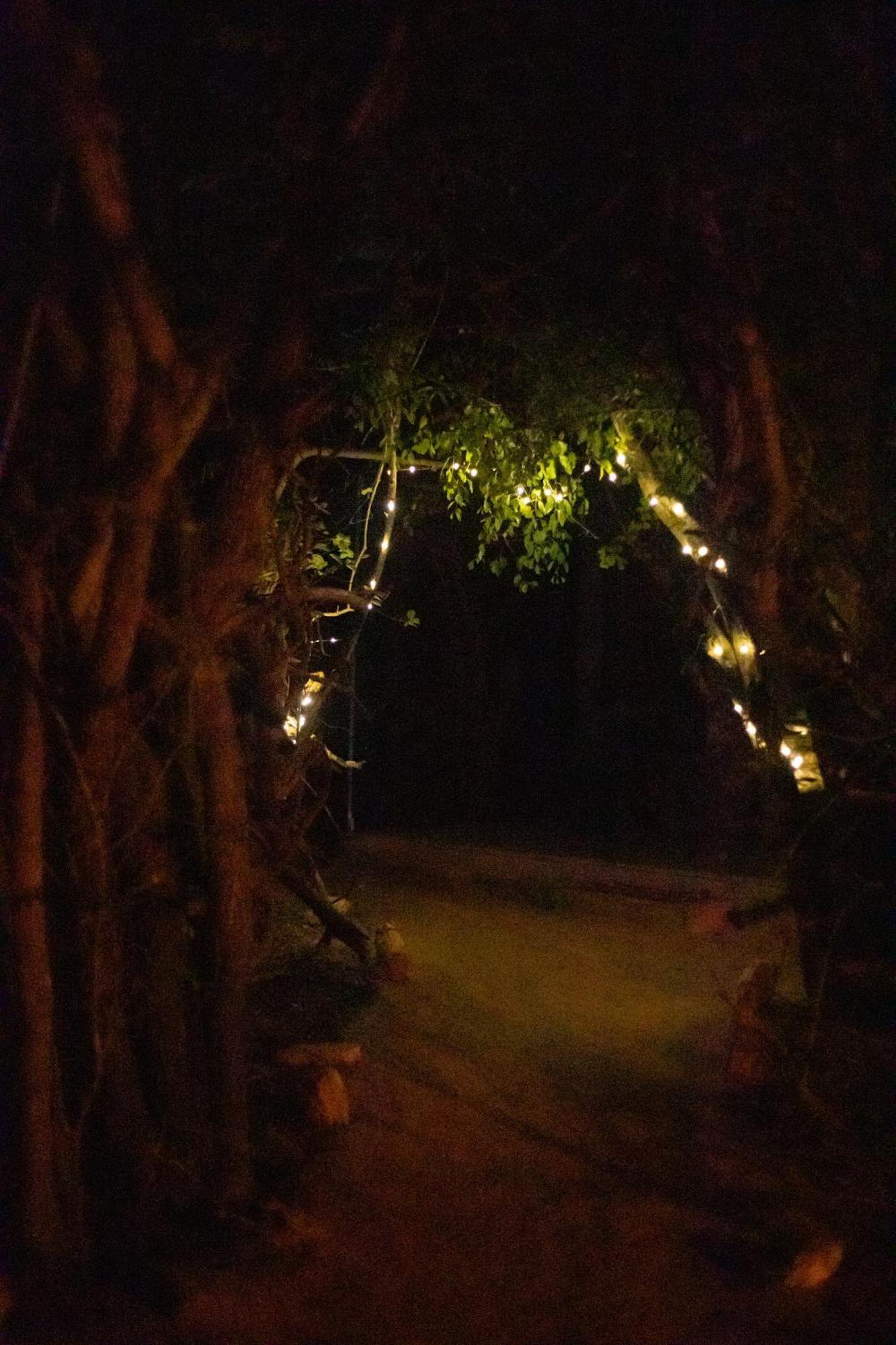 Hotel Yala Eco Bush Camp Extérieur photo